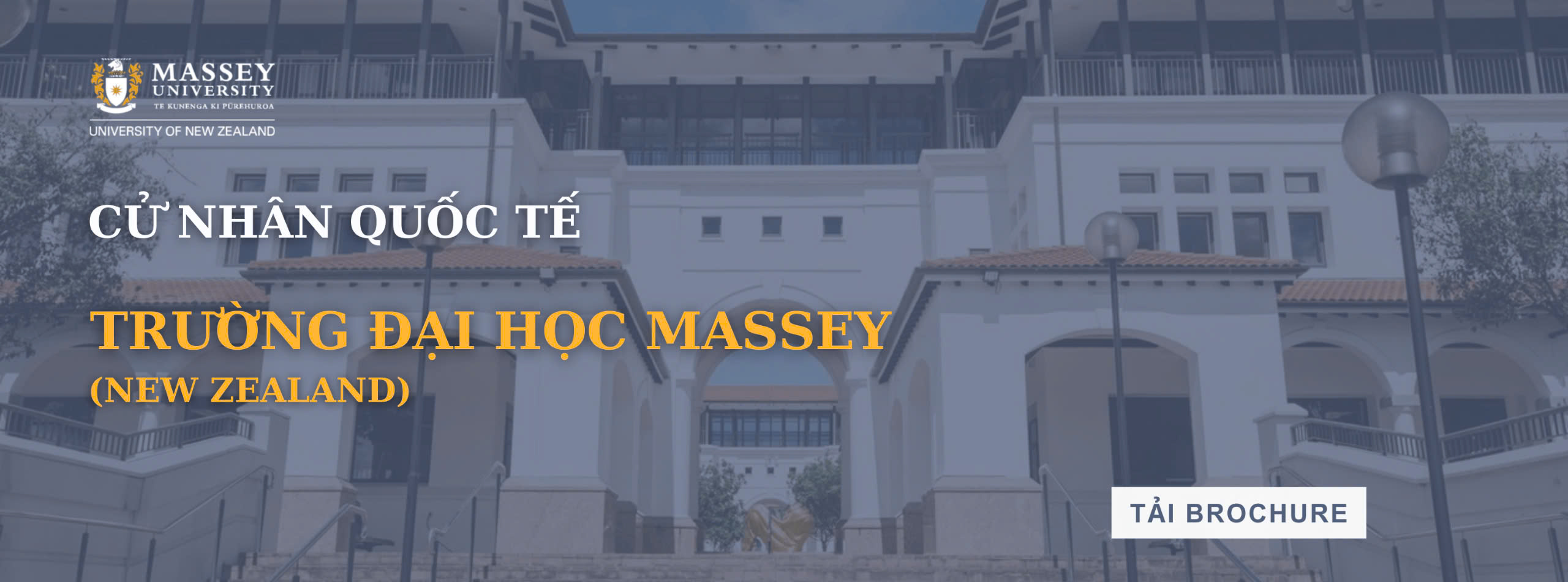 Viện Đào tạo Quốc tế - Đại Học Massey